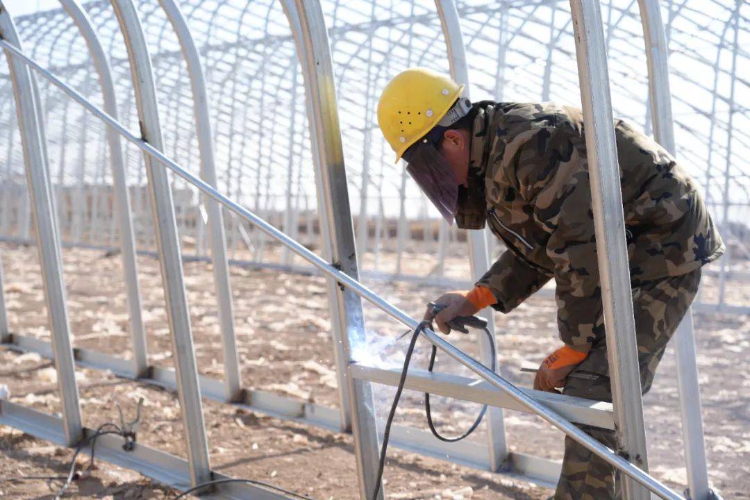 开春即开工 奋战开门红丨双庙镇: 设施农业争朝夕 数字赋能启新程